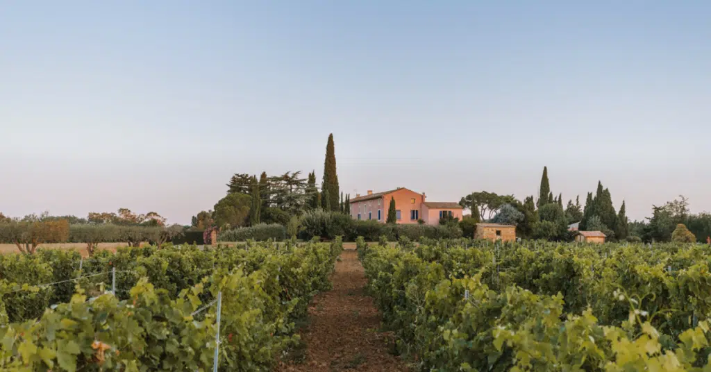 Château L'Hospitalet, one of Gérard Bertrand's Estates in the Languedoc