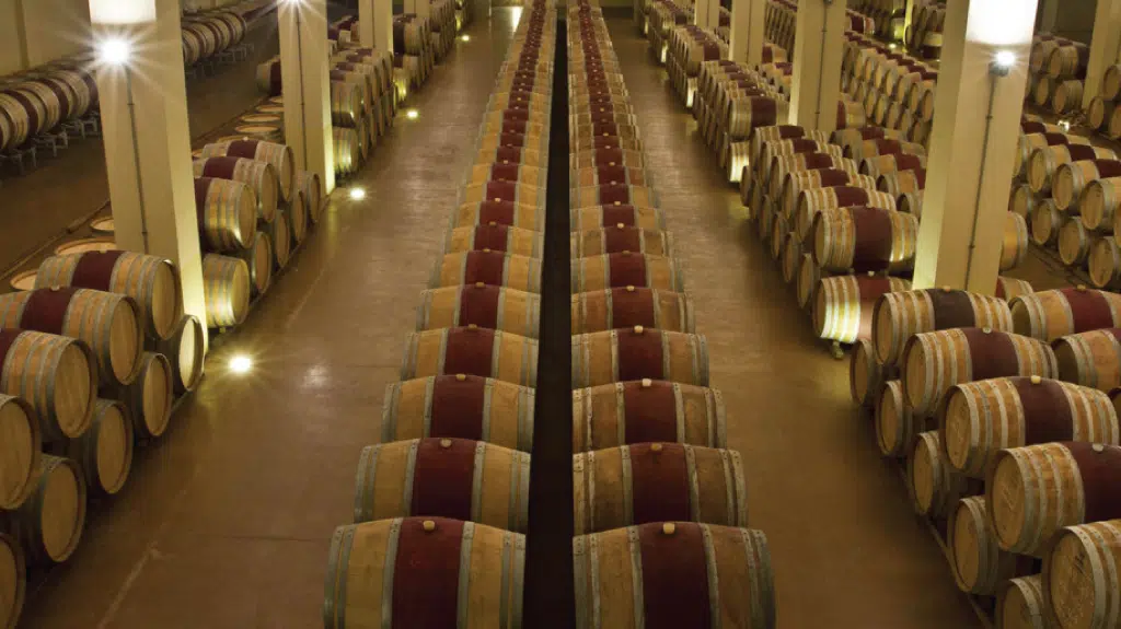 5-Wine-Curiosities-To-Visit-Around-The-World